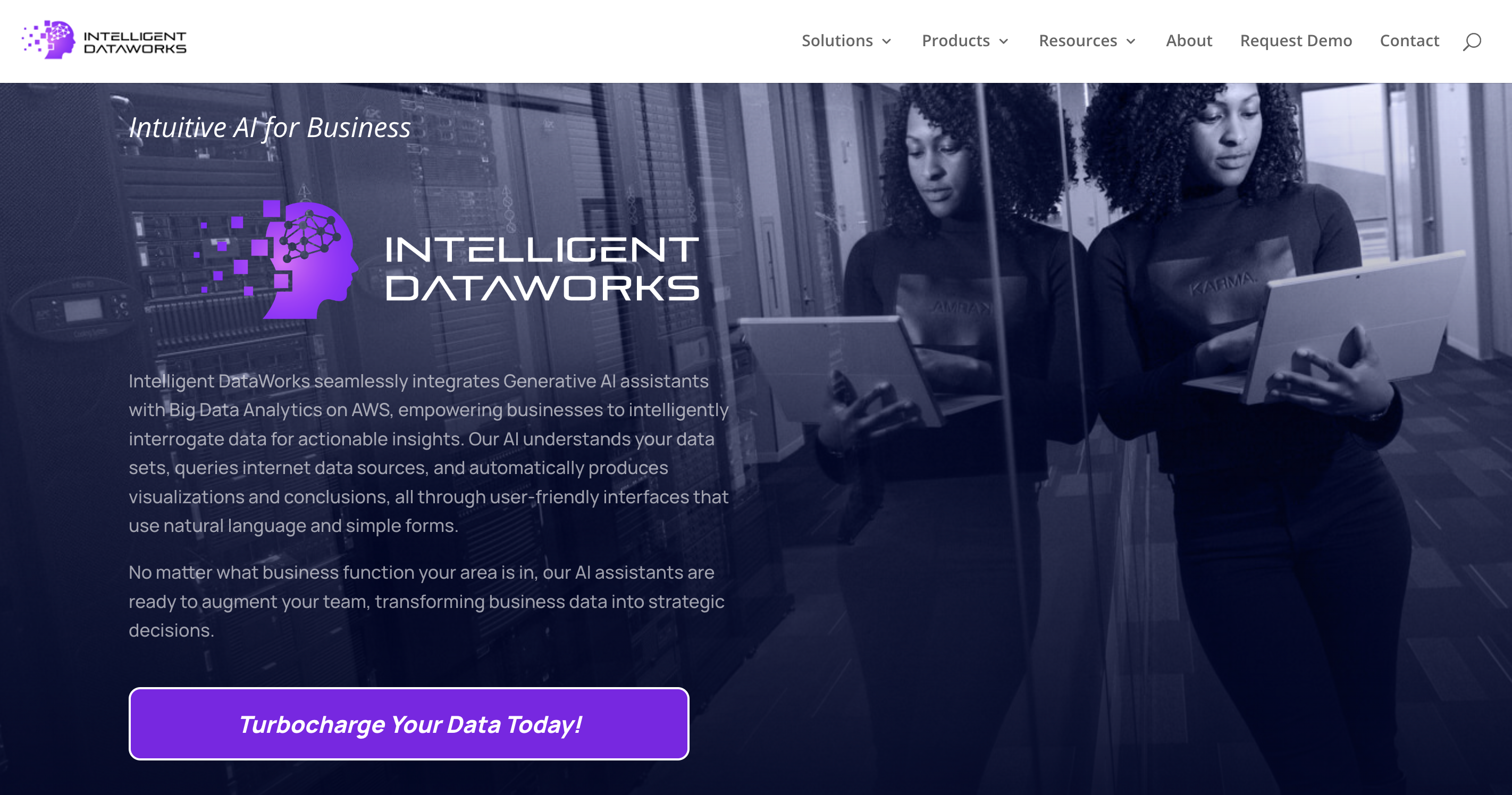 IDW homepage screenshot